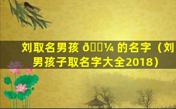 刘取名男孩 🐼 的名字（刘男孩子取名字大全2018）